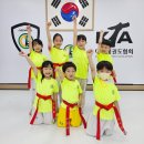 청솔태권도 이미지