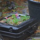 미술관 민박 이미지