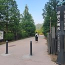 국수나무 항동점 | 서울 아이와 가볼만한곳, 구로 항동 푸른 수목원 10년 만에 다시 찾은 가족 나들이