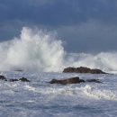 밀려오는 파도소리에 이미지