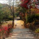 개화산 미타사 앞 이미지