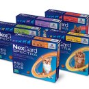 장천드림약국 이미지