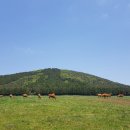 물영아리오름 이미지