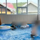 안산드림타운(18139) | 대부도펜션 무드인디고 1박2일 15명 단체펜션 이용후기