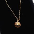 빛나는 강아지 | 메모리얼목걸이 추천 디어온 반려동물 강아지 고양이 털목걸이 주문제작 후기