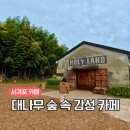 동백목장2 | 제주도 카페 추천 대한목장 제주