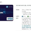 S&해외사용일시불