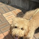 석수시장_하 이미지