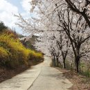 초록요양원 이미지