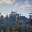 애월다래네 이미지