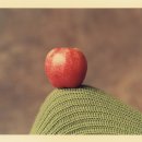 미래벤딩 이미지