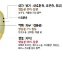 쌀눈의 효능/쌀눈쌀의 효능/미강의 효능 이미지