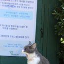 아미여행사