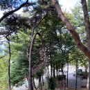 북정근린공원 이미지