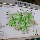 도동약국 이미지