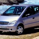 뿌리 철학A 이미지