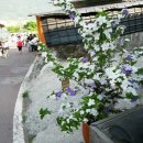 평사리상회 이미지