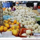 황태자농장 이미지