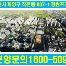 광원프라자 이미지