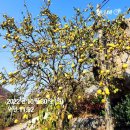 금곡보건진료소 | 아산 배태망설 종주[20,9km]