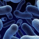 (주)제이에스바이오 이미지