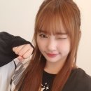 금냥이 이미지