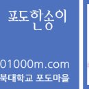 주식회사송이향 이미지