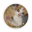 평택탑마취통증의학과의원 이미지