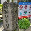 솔안목장 이미지