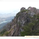 일진농장 이미지