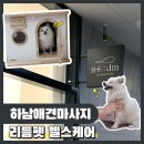 Re Pet 애견샵 | 하남애견마사지 리듬펫 헬스케어 소형견부터 대형견까지!