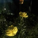 달맞이농장 이미지