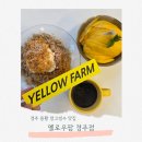 용황과일 | 경주 용황 카페 옐로우팜 과일 망고빙수 찐후기