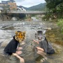 여명민박 이미지