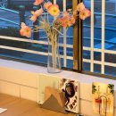 더락식향950목포본점 이미지