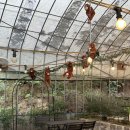 베이커리카페 코드비(CODEB) | 📍 평택 대형 베이커리카페 코드비 방문 후기