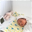 해피마미