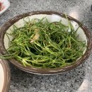 현대모모어린이집 | [일상] 이태원 바다식당 / 카페 모모 (MOMO) / 마포 남해바다 다녀온 후기