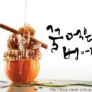 시안아트 이미지