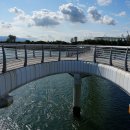 배알도수변공원 이미지