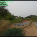 주생면 상동마을 이미지