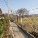 은대리 쉼나루 이미지