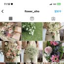 플라워시호
