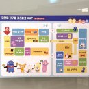 모모로 키즈카페 | 수원 광교 갤러리아 근처 대형 키즈카페 모모와친구들 내돈내산 솔직후기