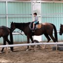 홀스킹덤 팜스테이 이미지