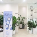 강북편한치과의원 이미지