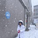 박조현태권도장 티스토리