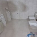 남자화장실 양변기,소변기 부착(23.10.26~27.) (자체) 이미지