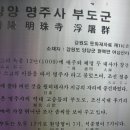 양양명주사부도군 Daum카페