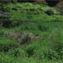 곡성-109 이미지